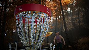 FLEX Disc Golf