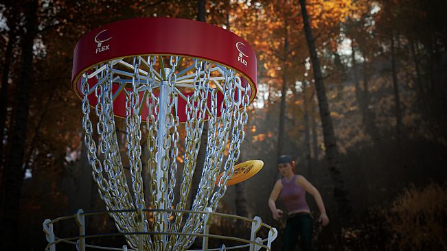 FLEX Disc Golf