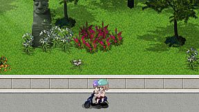 Trash in the Flower Garden