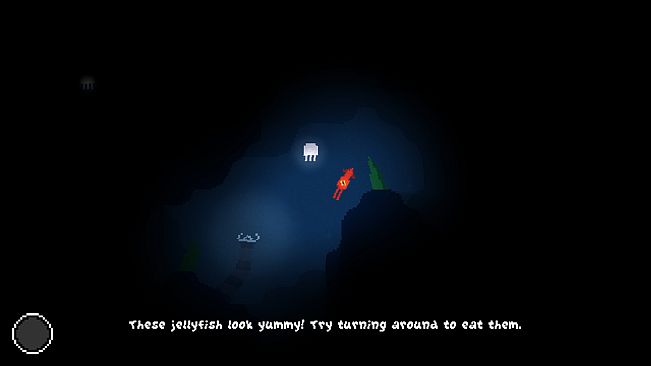 Wandering Squid