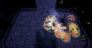 Shades Of Rayna - Warrior Class