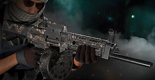 Insurgency: Sandstorm - Dragon Skin Weapon Skin