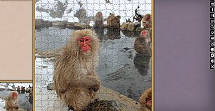 Jigsaw Puzzle Pack - Pixel Puzzles Ultimate: Variety Pack 8