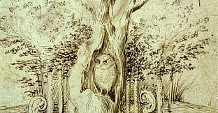 Eye of the Owl - Bosch VR