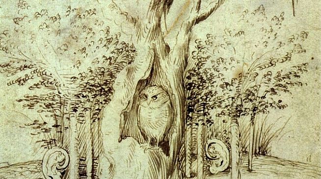 Eye of the Owl - Bosch VR