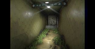 BACKROOMS: PRIMAL