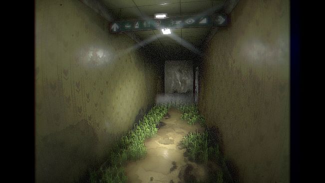 BACKROOMS: PRIMAL