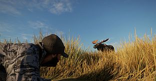 theHunter: Call of the Wild - Remi Warren