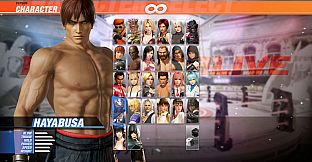 DOA6 Hayabusa Deluxe Costume