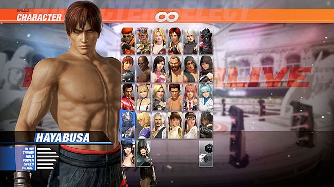 DOA6 Hayabusa Deluxe Costume