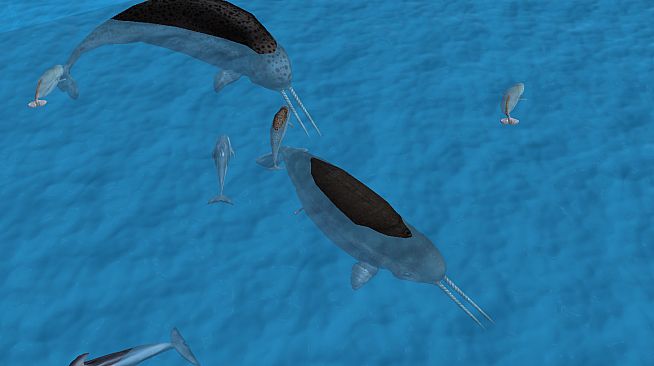 Wildilfe Park 3 - Alaska