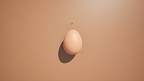 Egg RTX