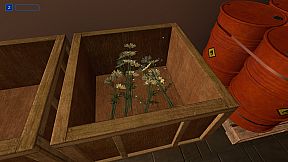 Real Pharmacy Simulator