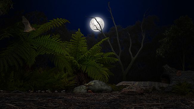 A toad well travelled