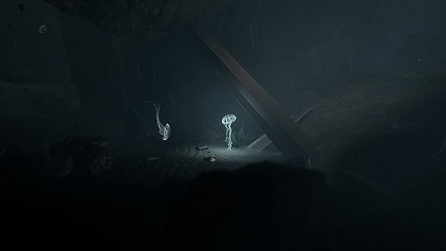 JELLYFISH