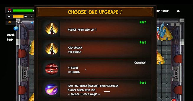 Hector The Cat - Treasure Hunter