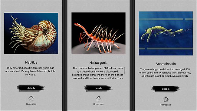 Jigsaw puzzle - Evolution