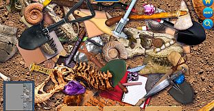 Lots Of Things Collector's Edition