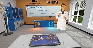 Dissection Simulator: Feline Edition