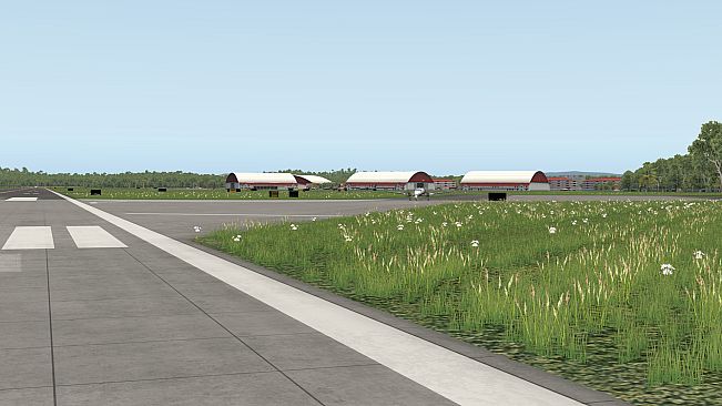 X-Plane 11 - Add-on: Aerosoft - MPPA - Panamá Pacifico XP