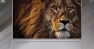 Super Jigsaw Puzzle: Generations - Random Animals Puzzles