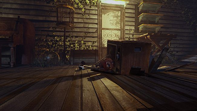 PHi: The Broken Strings