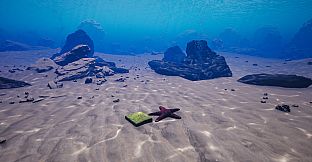 Starfish Simulator