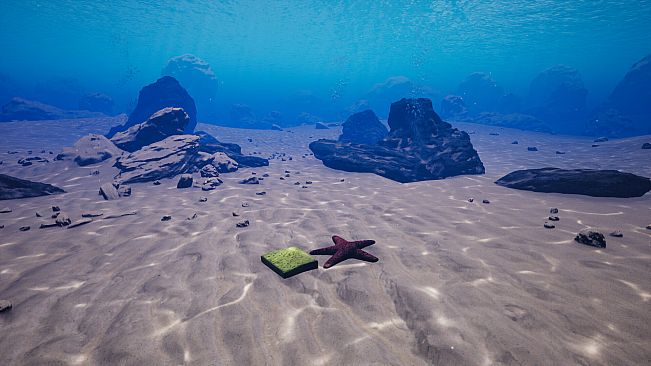 Starfish Simulator