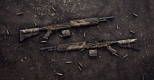Insurgency: Sandstorm - Endurance Weapon Skin Set