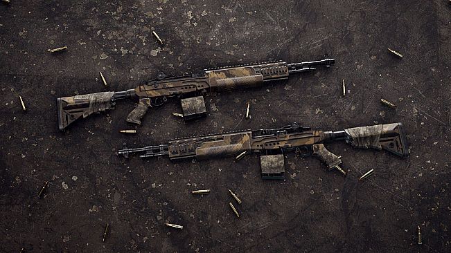 Insurgency: Sandstorm - Endurance Weapon Skin Set