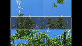 The Day in a Life of a Dayfly