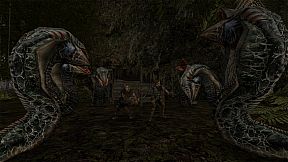 Gothic II: Gold Edition