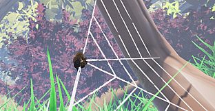 Weave & Wander