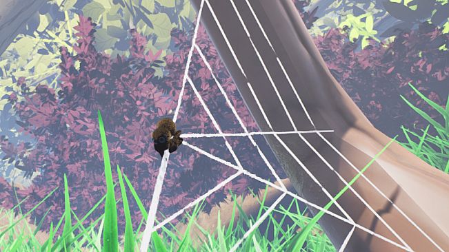 Weave & Wander