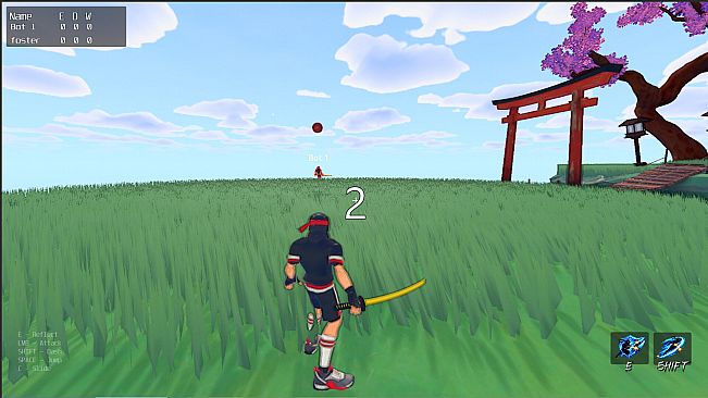 Ninja Dodgeball