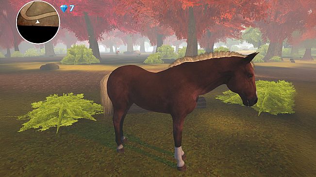 Horse Spirit Valley