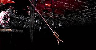 Aesoteric Collection