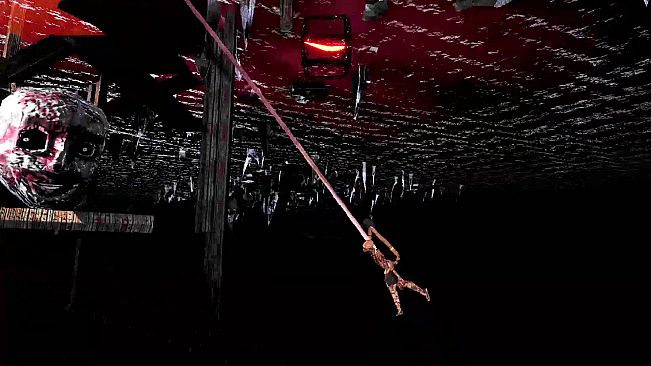 Aesoteric Collection