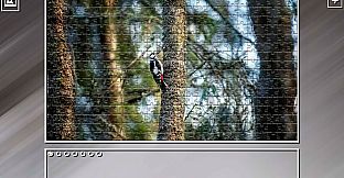 Super Jigsaw Puzzle: Generations - Birds 2