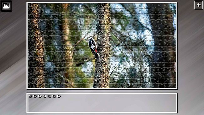 Super Jigsaw Puzzle: Generations - Birds 2