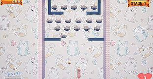 Challenge from the Black Cat