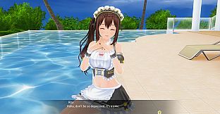 CUSTOM ORDER MAID 3D2&2.5+ X1+Vol.02