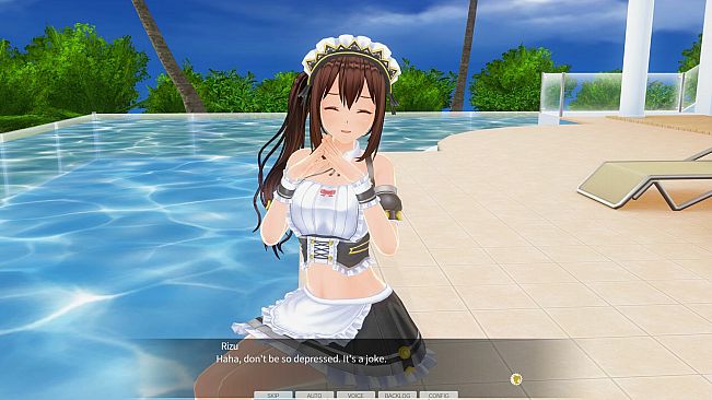 CUSTOM ORDER MAID 3D2&2.5+ X1+Vol.02