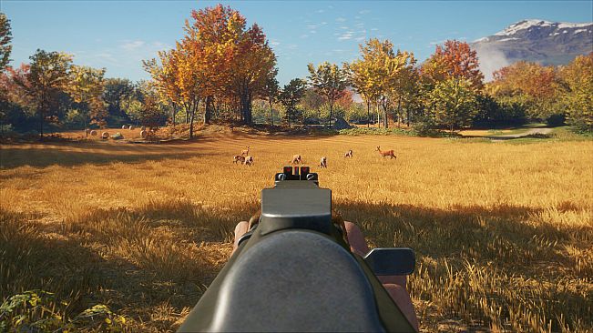 theHunter: Call of the Wild - Rapid Hunt Rifle Pack