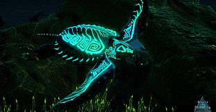 Beasts of Bermuda - Archelon Supporter Warpaint
