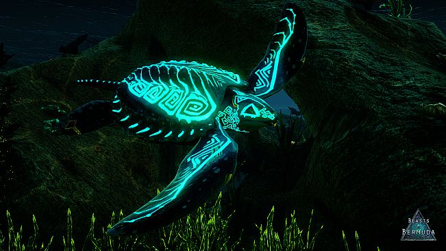 Beasts of Bermuda - Archelon Supporter Warpaint