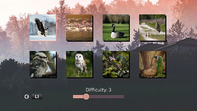 Shattered Frames 3: Skies Above