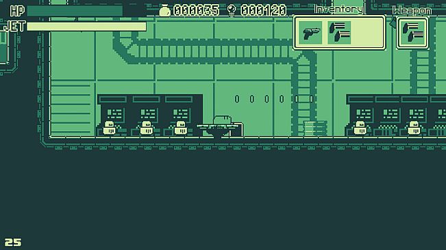 Spotted Garden Eel Adventure