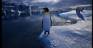 Life of a Penguin