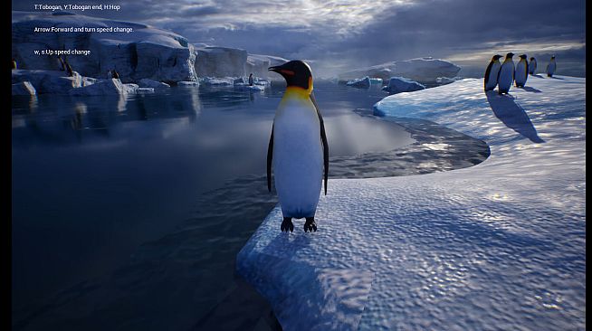 Life of a Penguin
